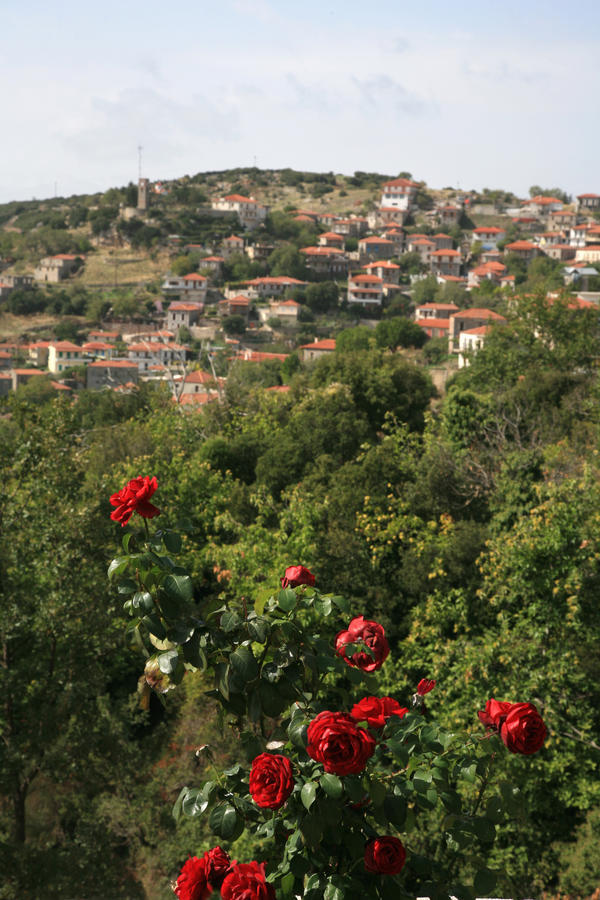 Arhontiko Parnona Hotel Karyes Exterior photo