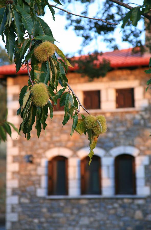 Arhontiko Parnona Hotel Karyes Exterior photo
